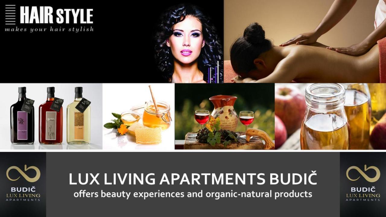 Lux Living Apartments Budič Brežice Extérieur photo
