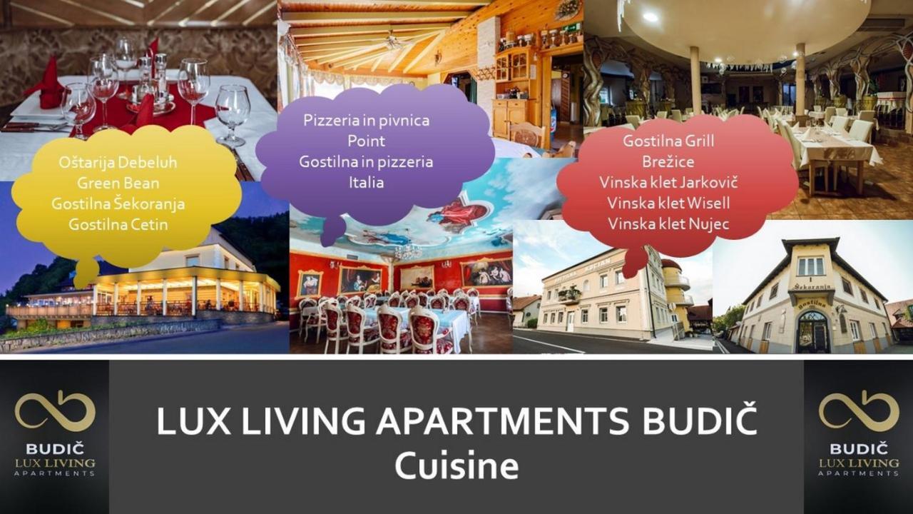 Lux Living Apartments Budič Brežice Extérieur photo
